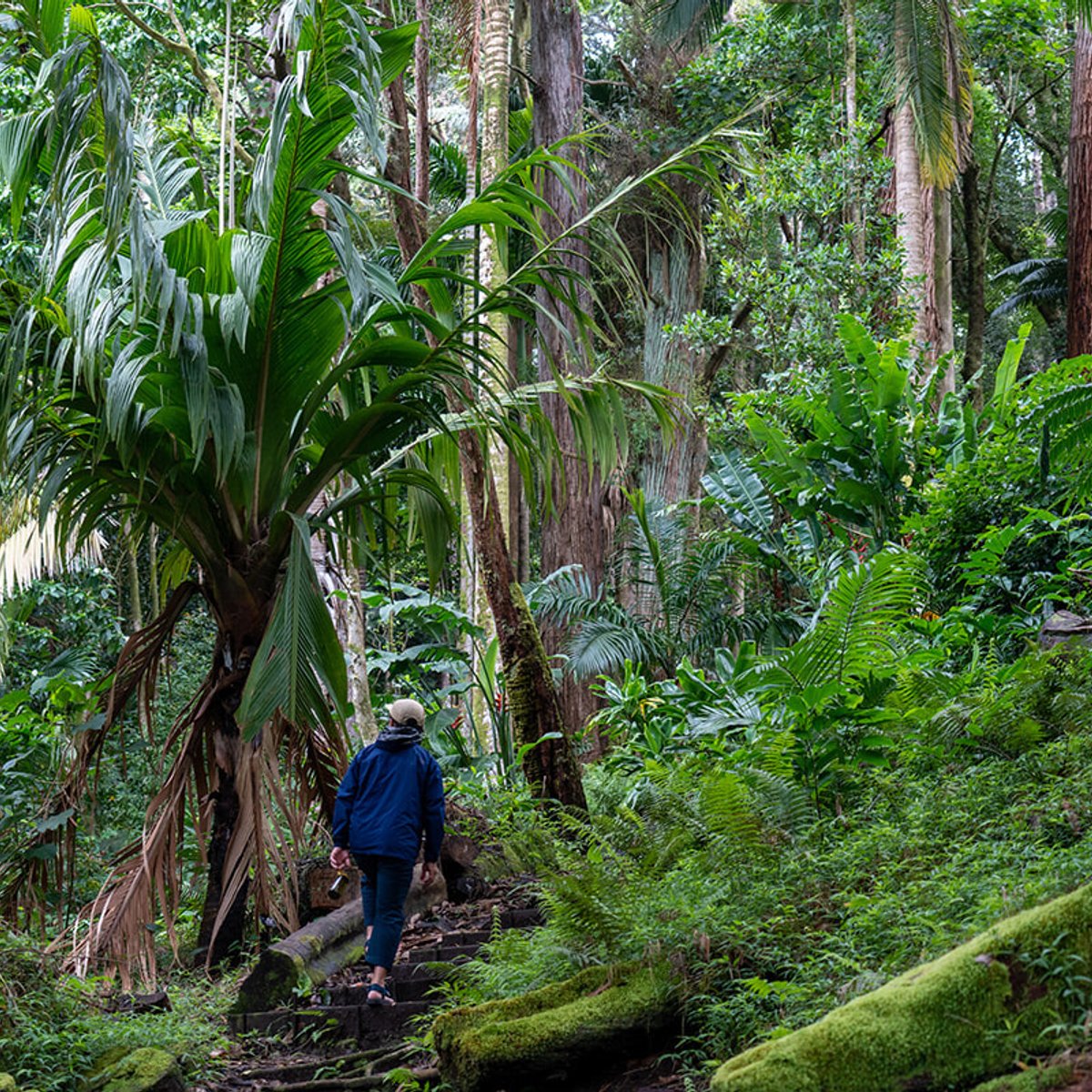 マラマを感じるために、オアフ島の自然の中に入っていく。