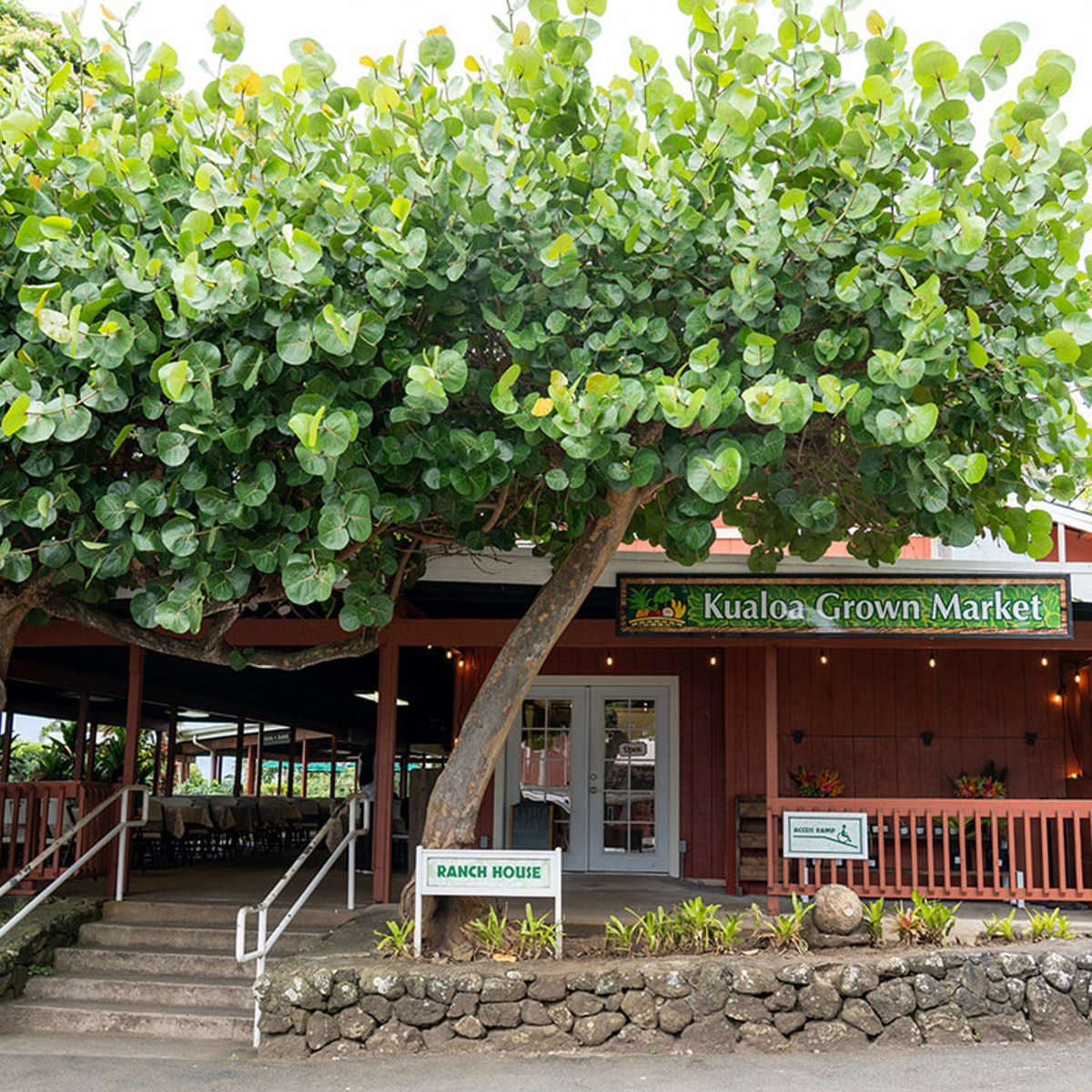 ハワイの人たちが古くから大切にしてきた伝統文化を学ぶ。