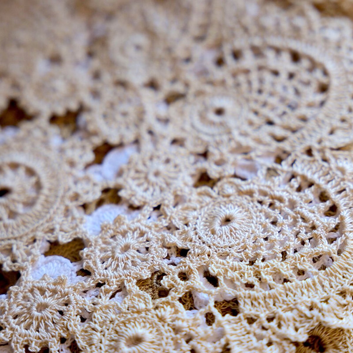 可愛いレースを求めて、ポーランドへ。