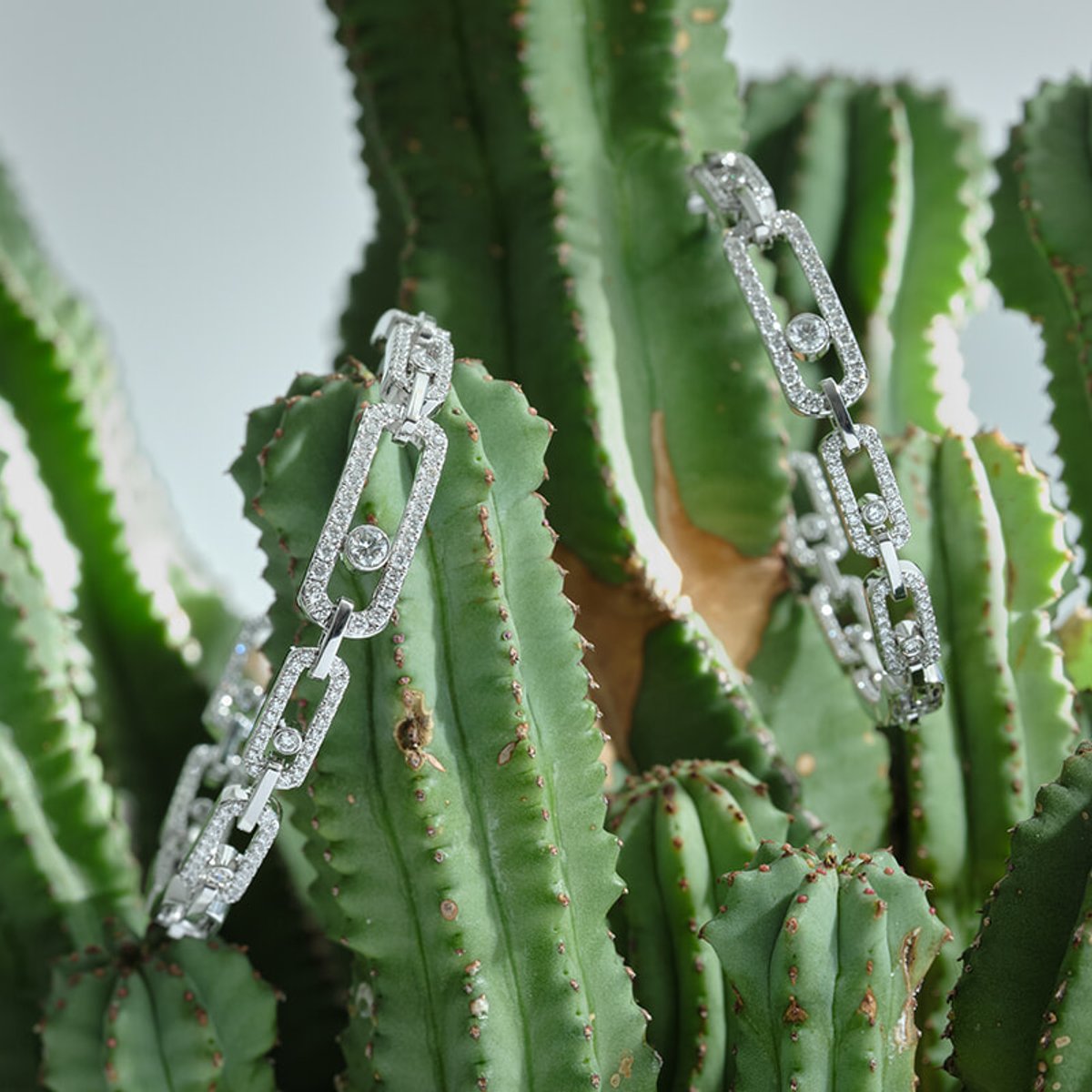 幼ない日の思い出をデザインに、メシカのアイコン。