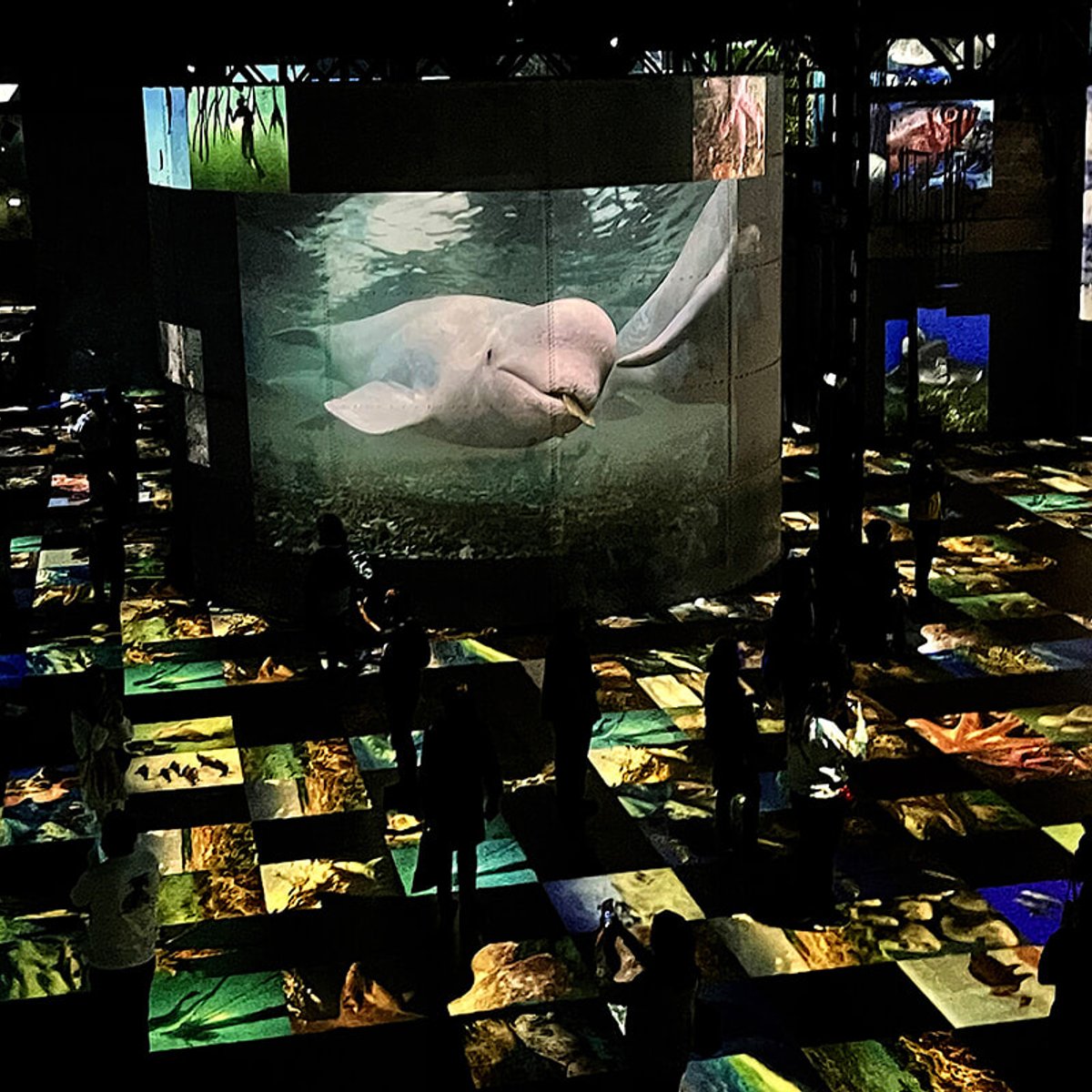 アトリエ・デ・リュミエールで、イマーシブな海中散策を！