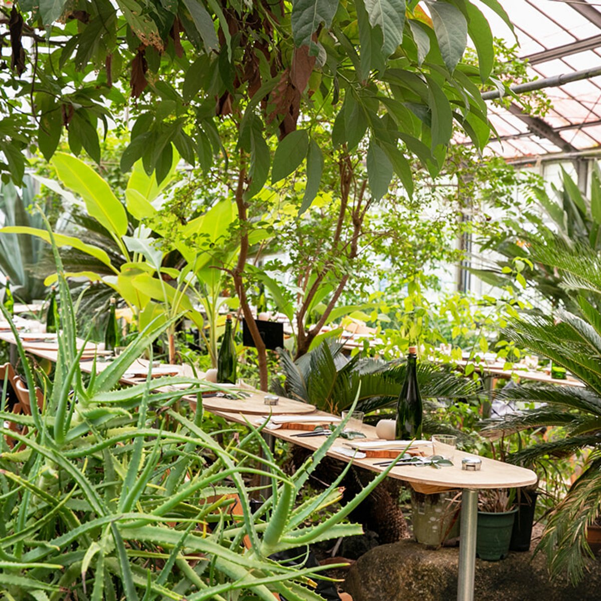 エーグル、植物と土と蒸留をめぐるスペシャルランチ。