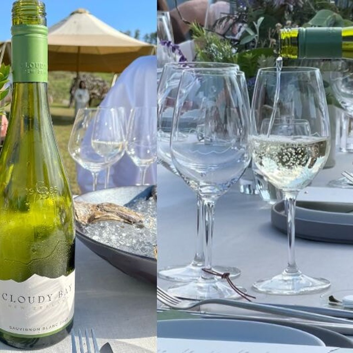 ニュージーランドの草原を感じるワイン！？ 屋外ランチで再発見した「クラウディー ベイ」の魅力。
