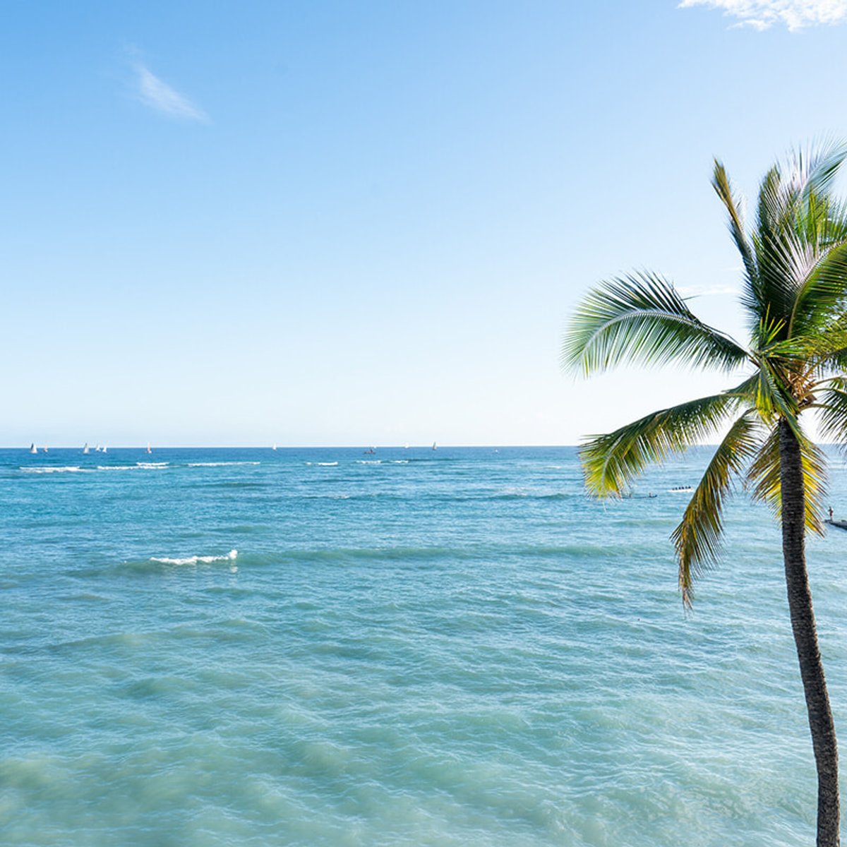 ハワイの自然環境に配慮したマラマなプロダクト。