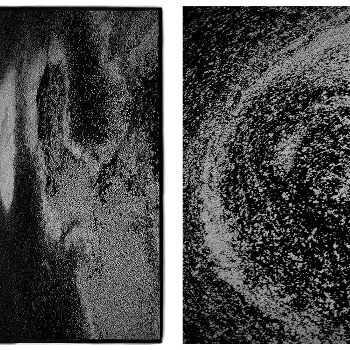 写真家・高木由利子がレンズにとらえた、桜の有り様とは？