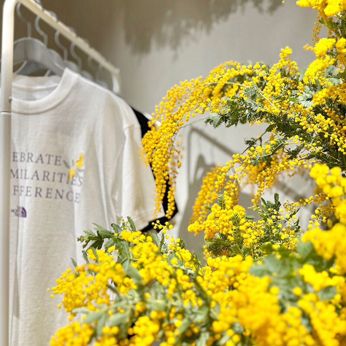 ザ・ノース・フェイス、国際女性デーのメッセージ。