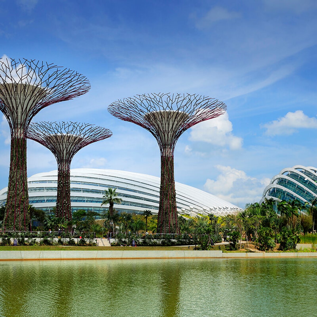 【シンガポールへの旅】自然と共存する建築に触れる。