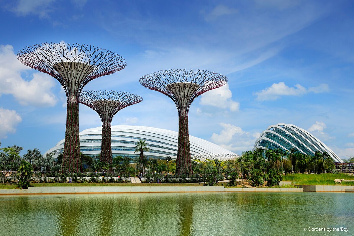 240318-singapore-07-ogp-1.jpg