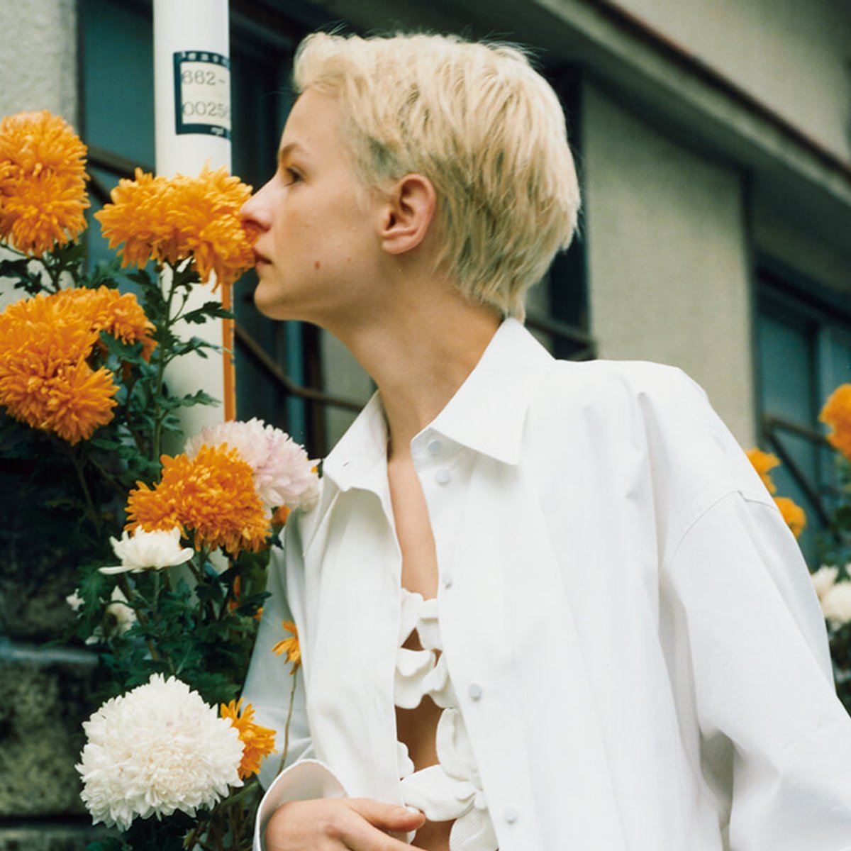 2024年版、新ベーシックスタイルのすべて。