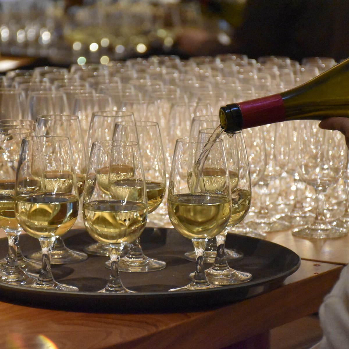 【応募終了】大人気講座「ワイン基本のキ」、白ワインのアイドル「シャルドネ編」を開催！