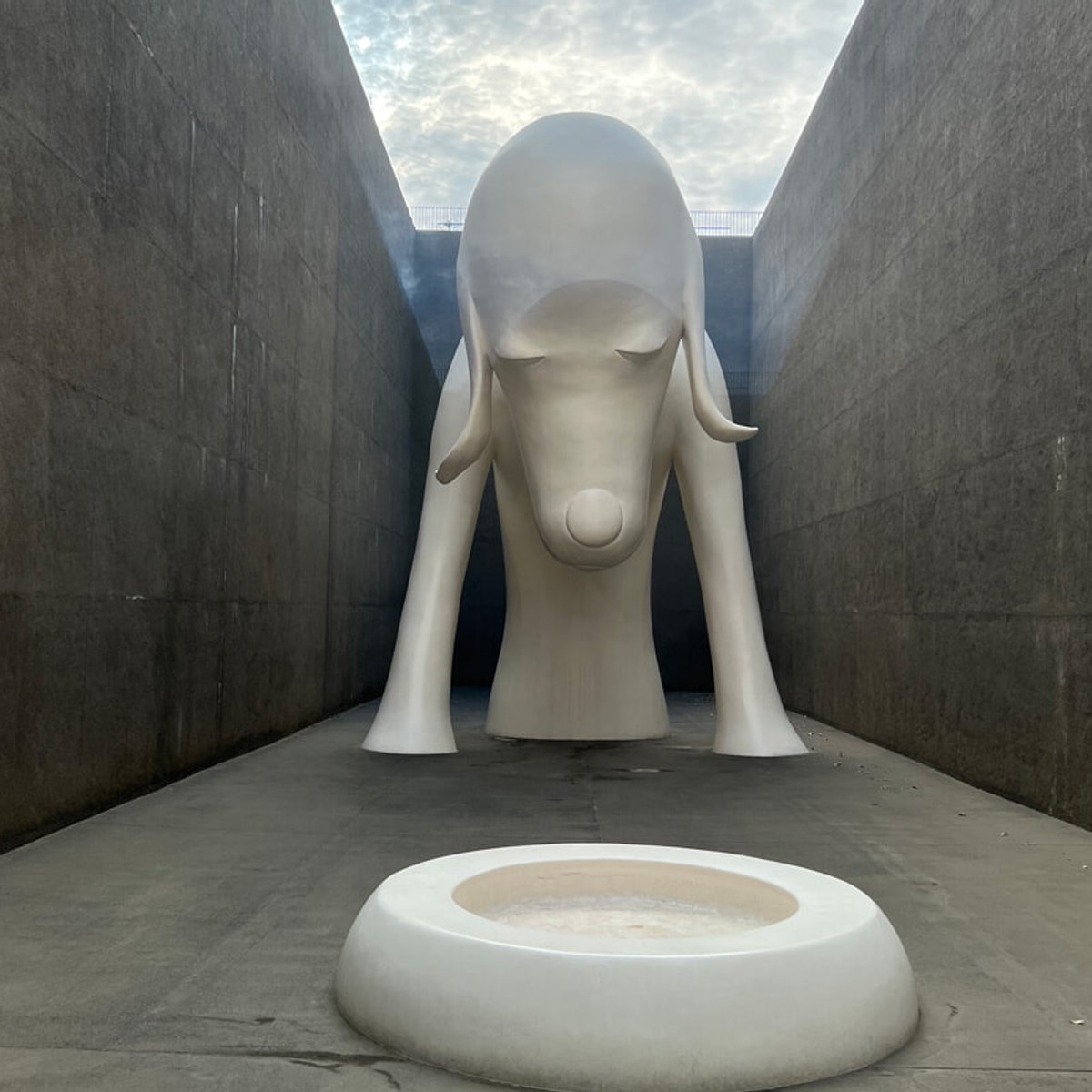 青森へアート旅！ 『AOMORI GOKAN アートフェス2024』とは？