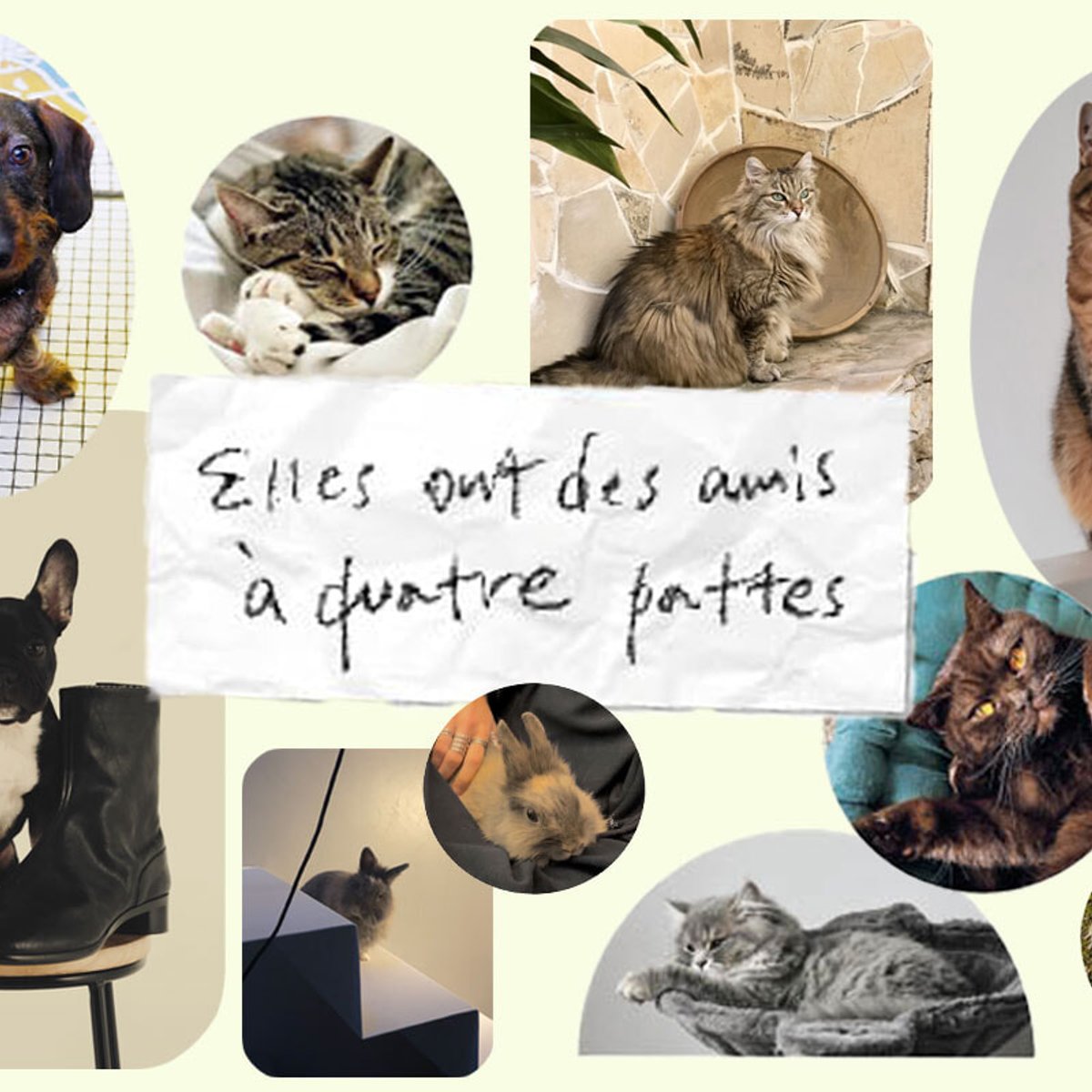 パリジェンヌたちの自慢の相棒、紹介します。