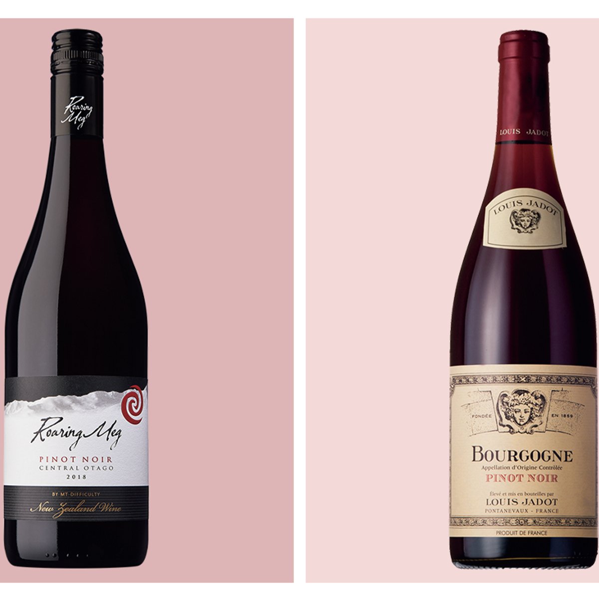 気難しいのも魅力？　高貴なブドウ品種、ピノ・ノワールの秘密。