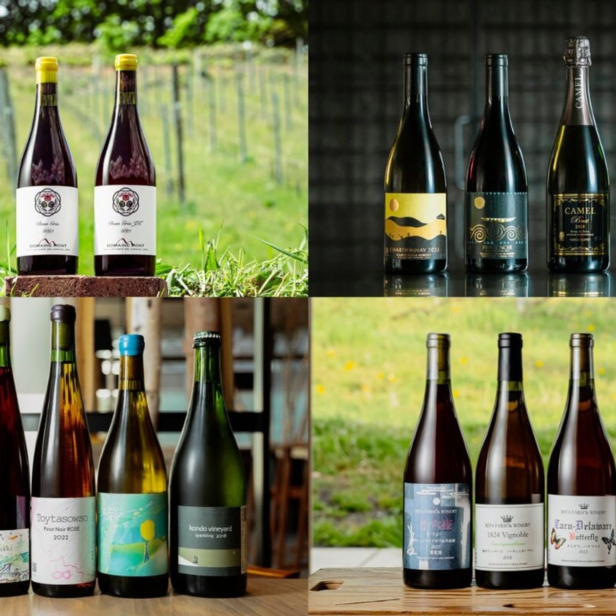 絶対味わうべき余市ワインの生産者３選と、北海道の自然派ワインを楽しめる札幌の名店へ！