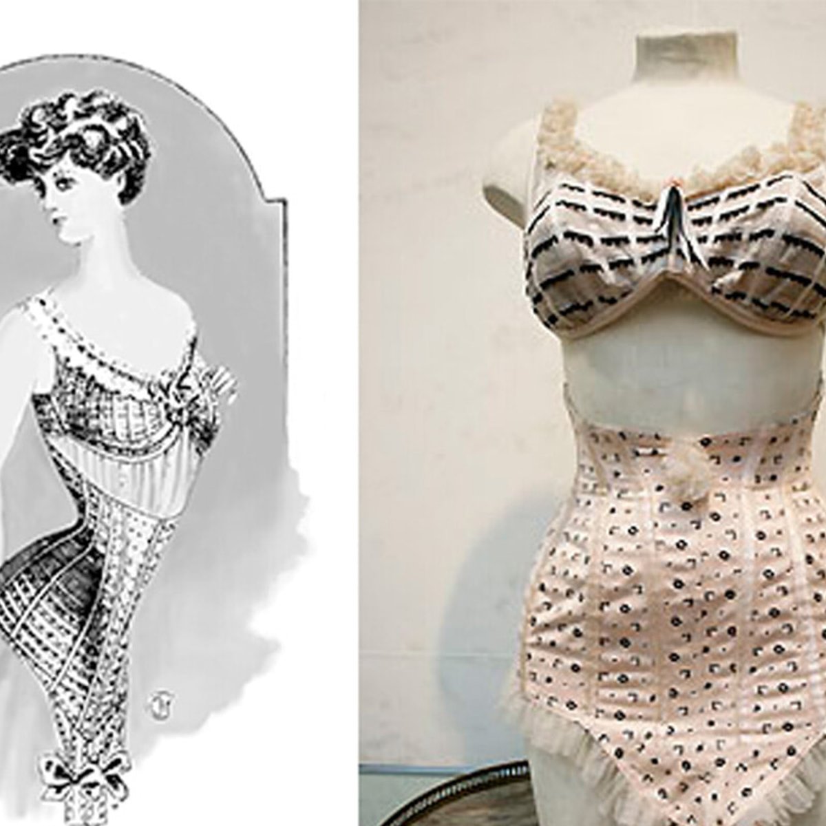 ブラジャーの原型を考案した女性実業家、エルミニーの人生。