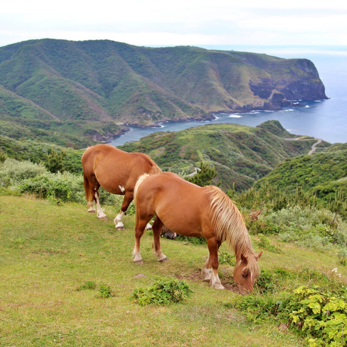 地球の宝物を探して。日本屈指のハイダウェイ、隠岐諸島をホッピング！【前編】
