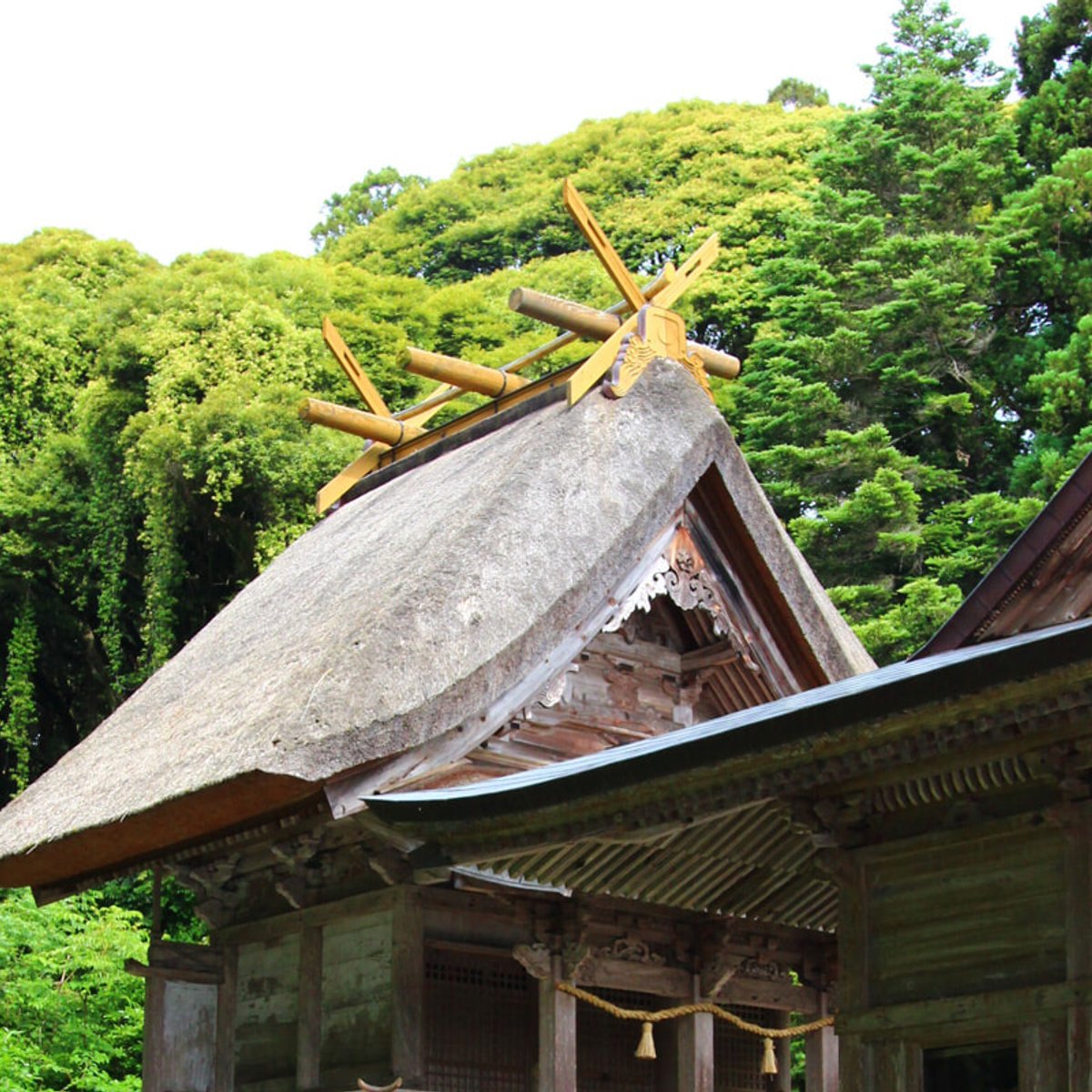 巨木に巨岩、原始の野生美に彩られた隠岐諸島・島後の過ごし方【後編】