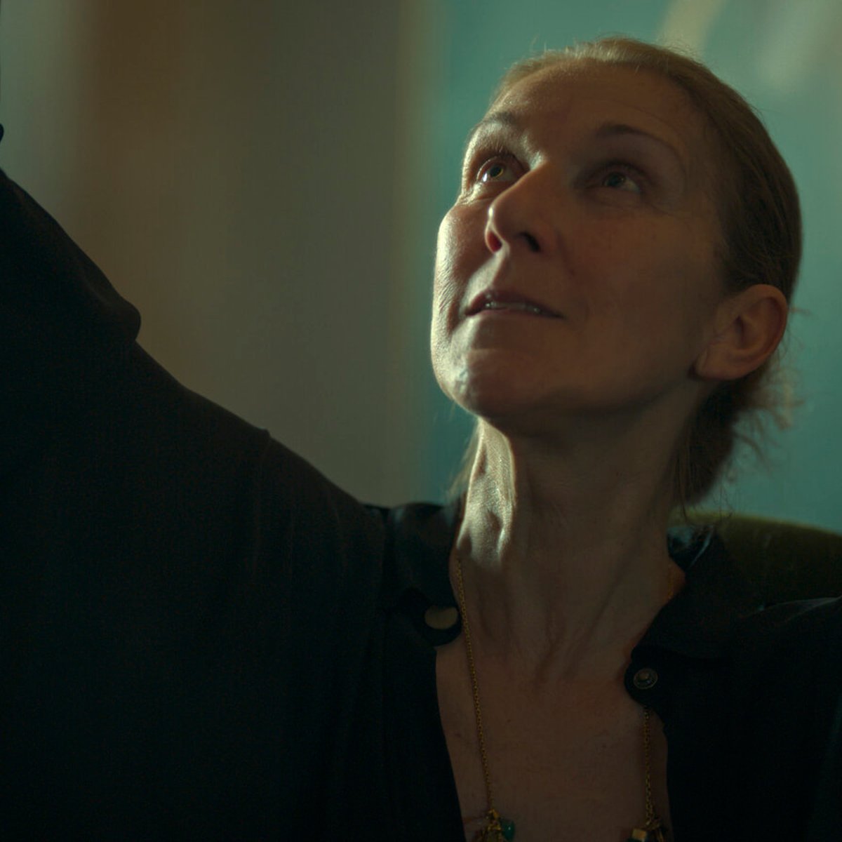 難病と闘うセリーヌ・ディオンの姿を描いたドキュメンタリー映画。