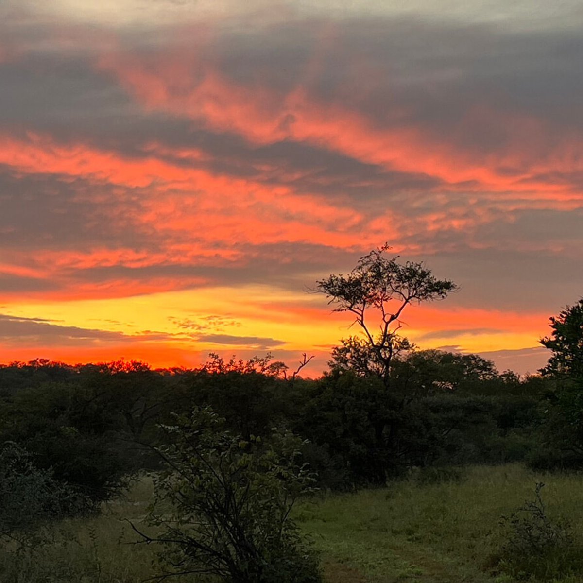 南アフリカの大自然でのヴァカンス、忘れられない人や動物との出会い。｜中西聖子（フリーランスPR）