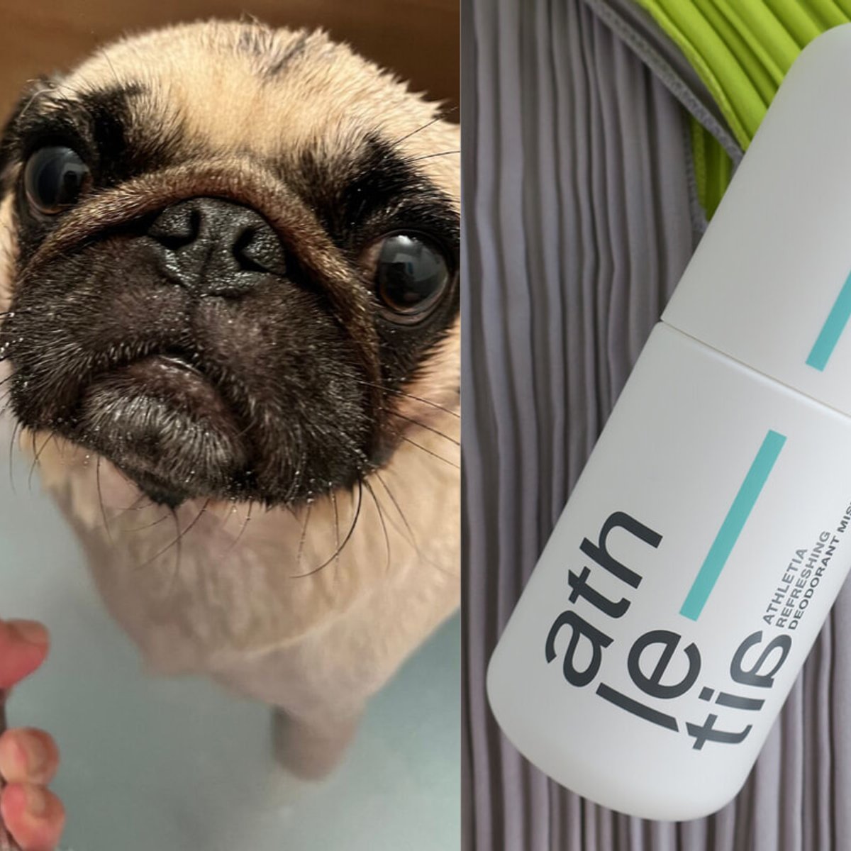 気になるニオイや汗の悩みをリフレッシュ。エディターが愛用する夏のビューティ必需品。