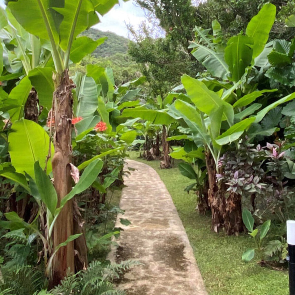 暮らすように旅する、沖縄のヴァカンス。｜鈴木純子（PR・ブランディング）