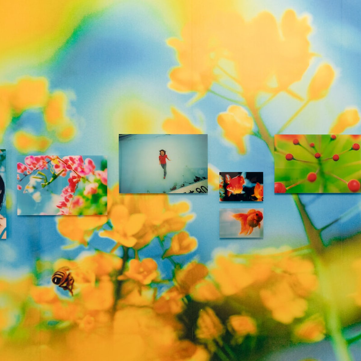 アルル国際写真フェスティバルに見る、日本の女性写真家たちの力。