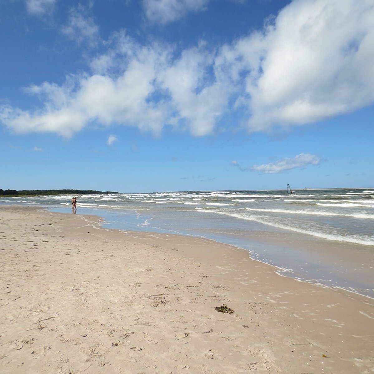 太陽の光を求めて！ スウェーデン人が集う伝統避暑地、ゴットランド島。