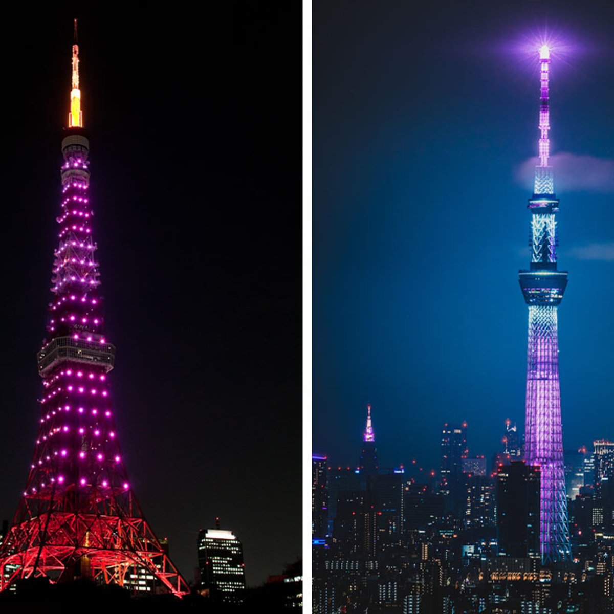 乳がんのない世界へ。ピンクリボン月間、私たちにできることを見つけよう。