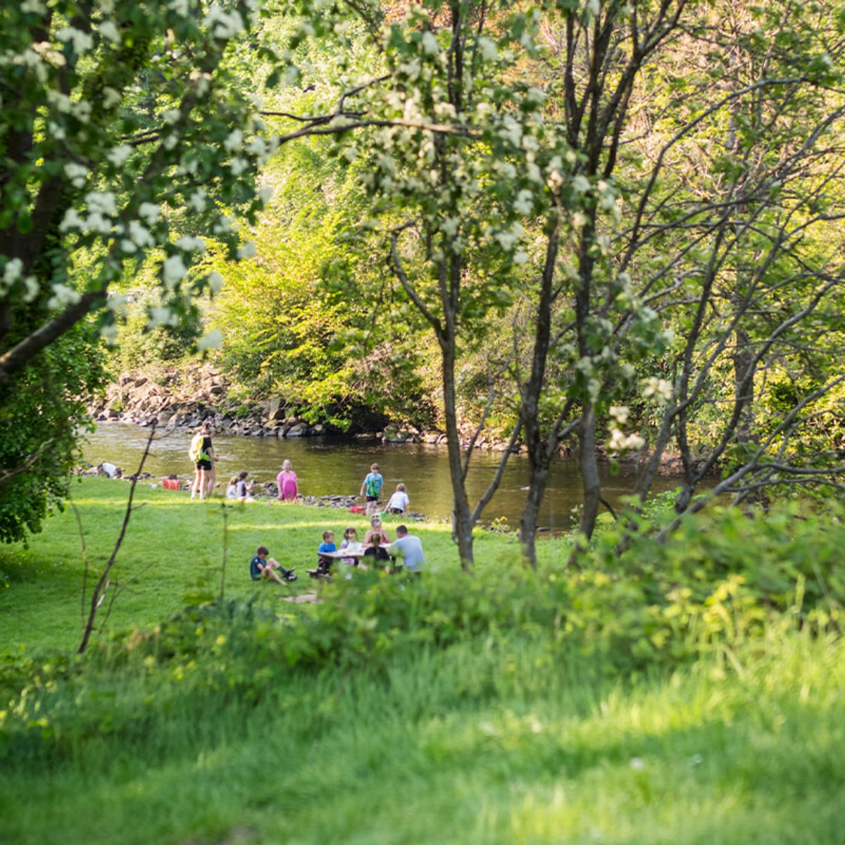 スコットランドのブリッジ・オブ・アランで、洗練された住民による、町づくりを学ぶ。