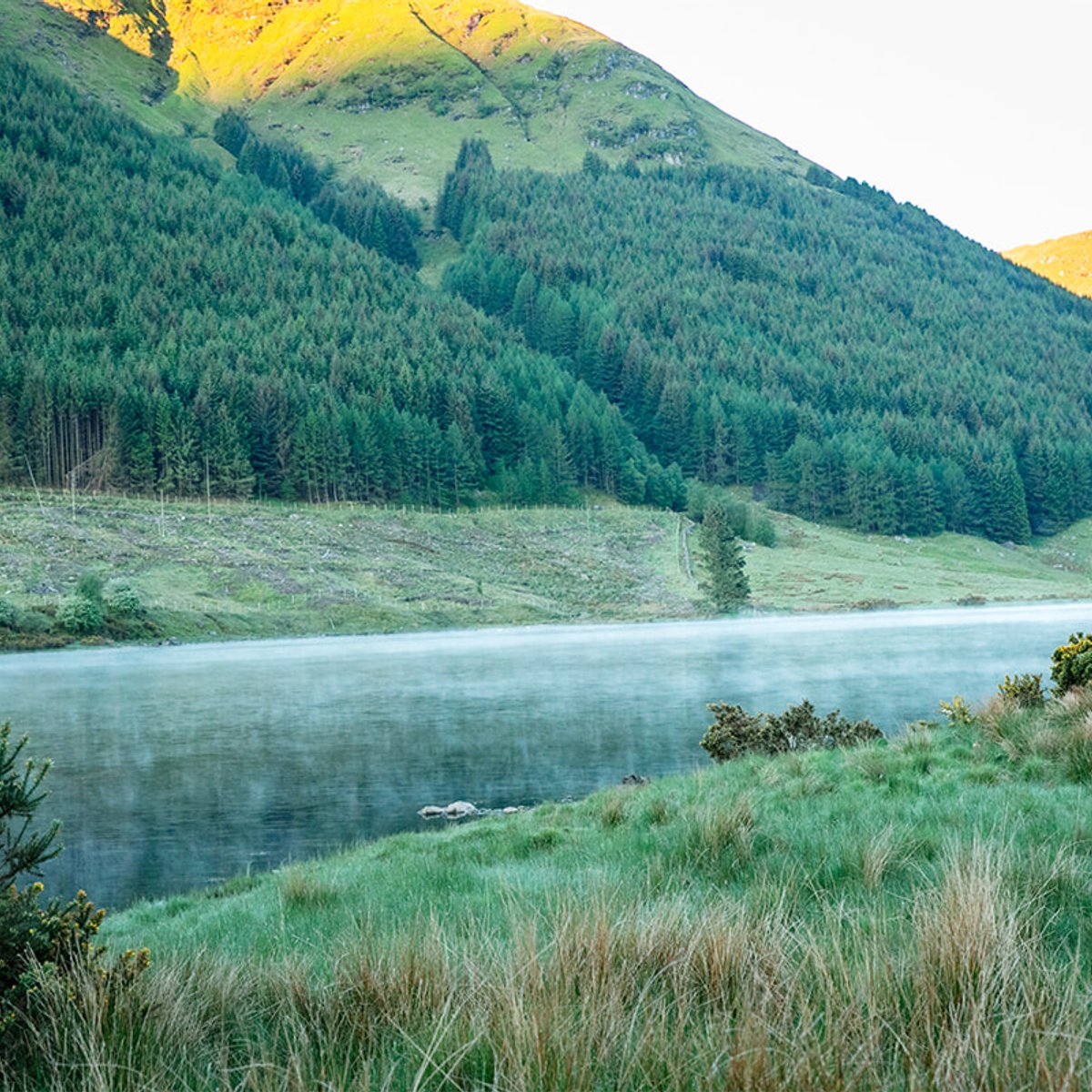 スコットランドのユートピア、自然と動物と人間が調和するバラクーダー。