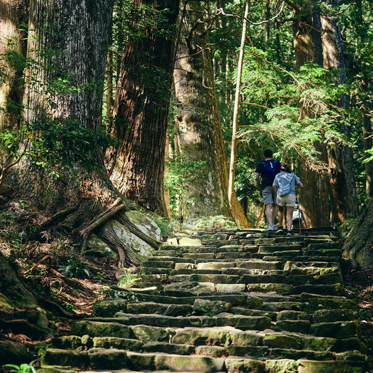 東京発・2泊3日、熊野エリアをじっくりまわる聖地巡礼の旅。【前編】