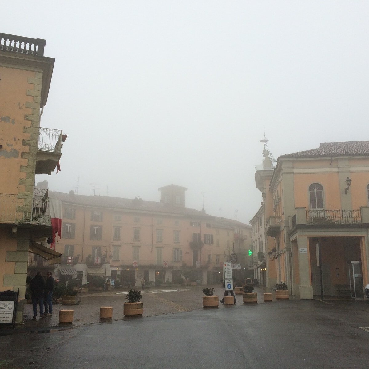 金よりも高かった⁉︎ ピエモンテを包む霧から生まれる、イタリアワインの至宝「ネッビオーロ」の真実。