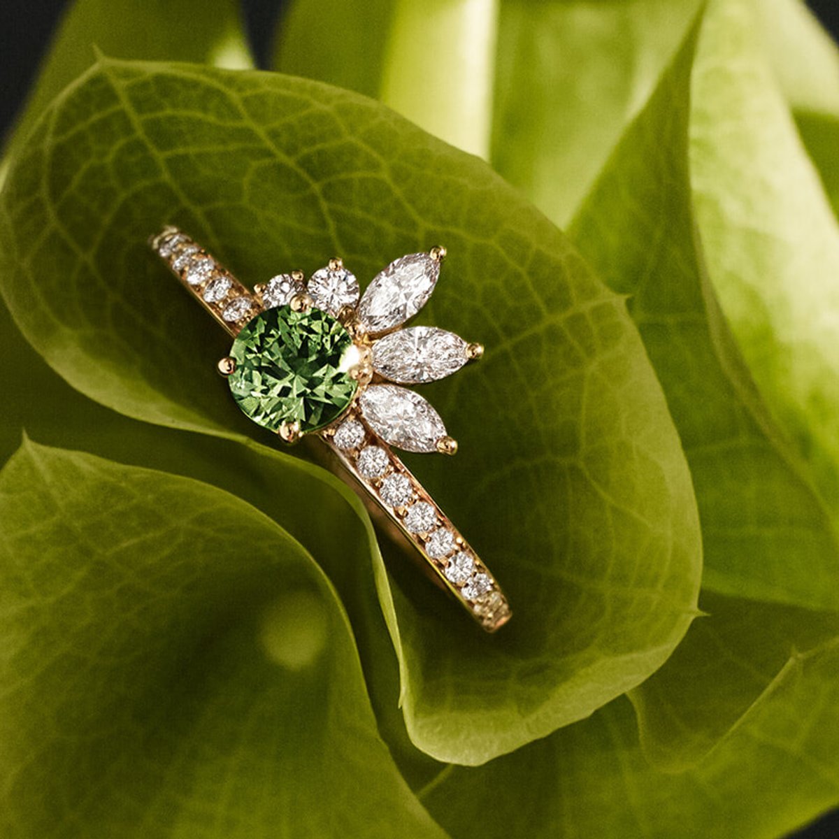 ジェミオで出合うブライダルリングの新しいかたち。