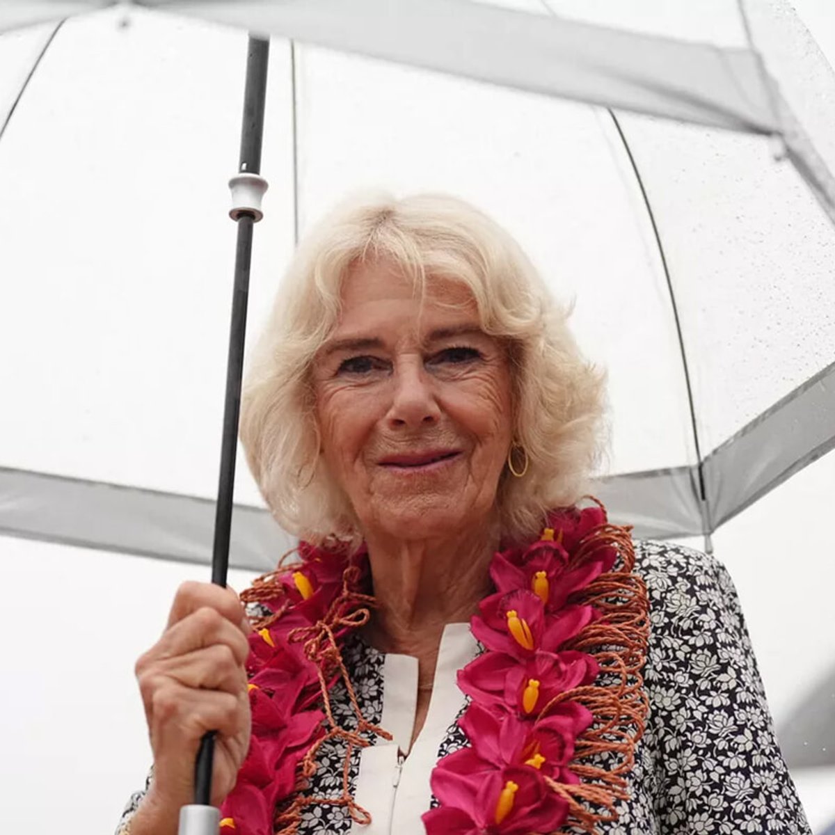 肺感染症に罹患していたカミラ王妃、公務に復帰。