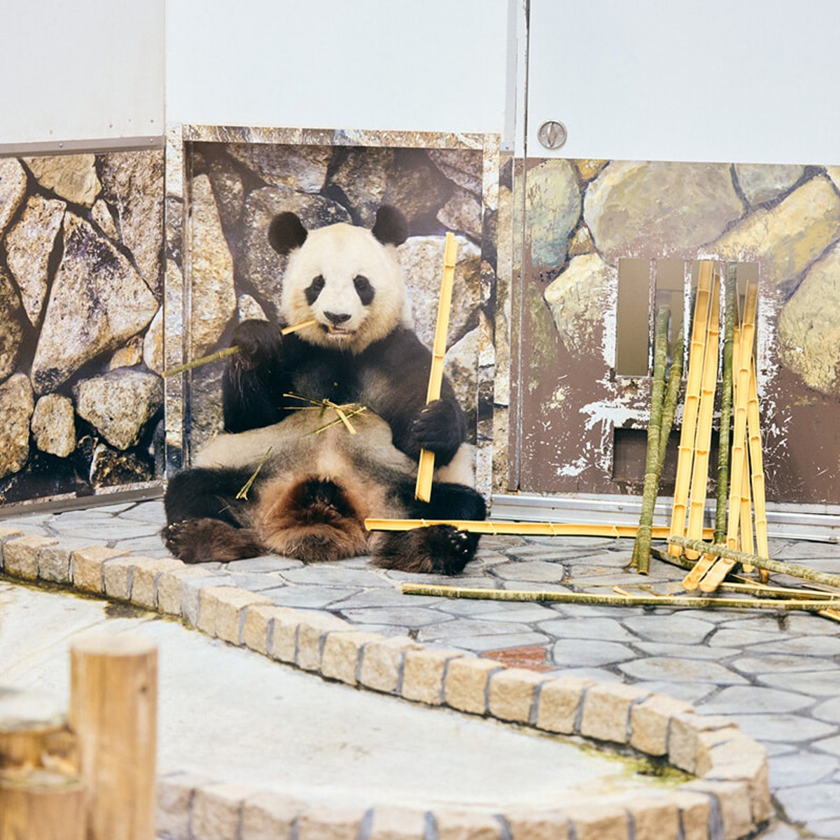 東京発・２泊３日、海も温泉も熊野古道も！　南紀よくばりドライブ旅。【前編】