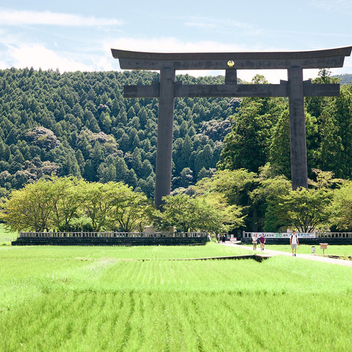 東京発・２泊３日、海も温泉も熊野古道も！　南紀よくばりドライブ旅。【中編】
