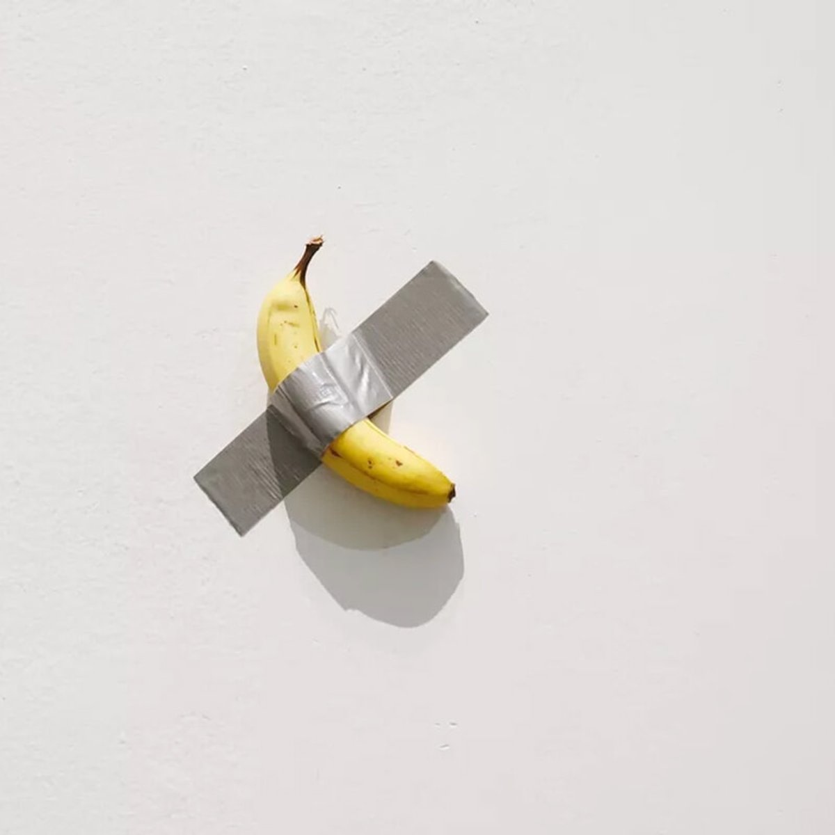 241126-high-priced-banana-1x1-