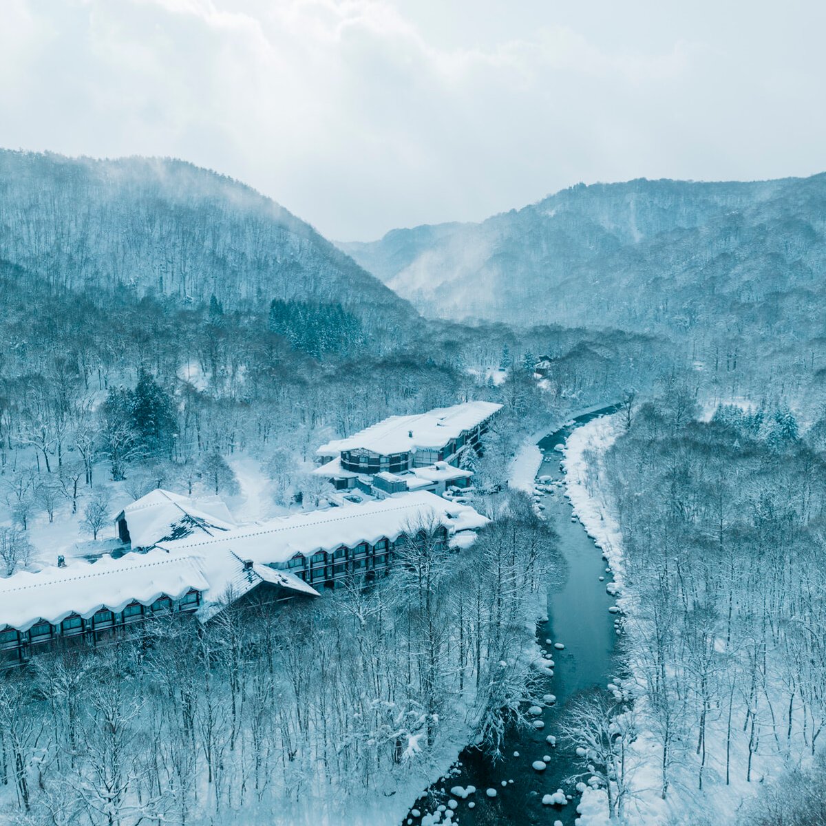 紅葉に染まる森と苔と渓流、奥入瀬の貴重な自然に寄り添うホテルへ！