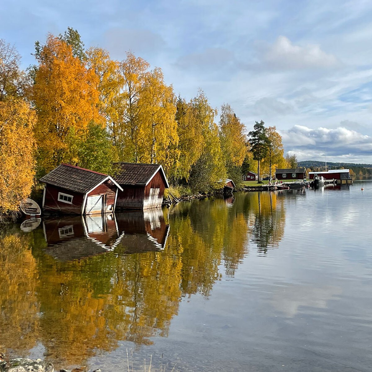 絶景！ スウェーデンいちの紅葉は、ミットバーナン鉄道の車窓から。