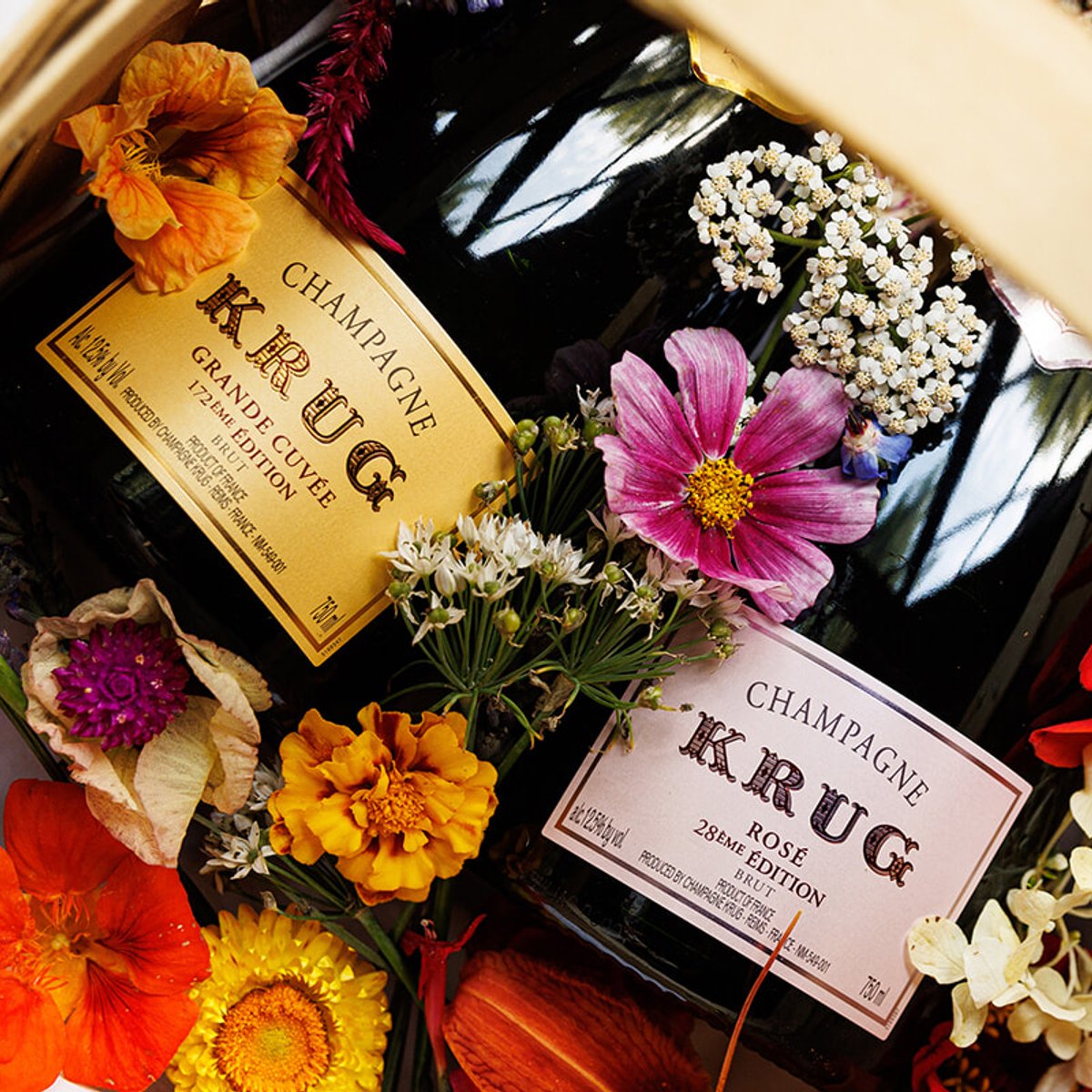 単一食材プログラム 10周年を迎え、クリュッグの未来を見つめる。