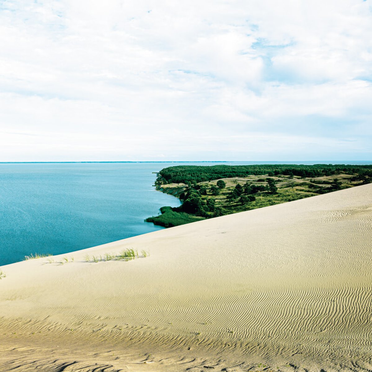 死の砂丘、美しい琥珀、リトアニアの美しさを求めて。