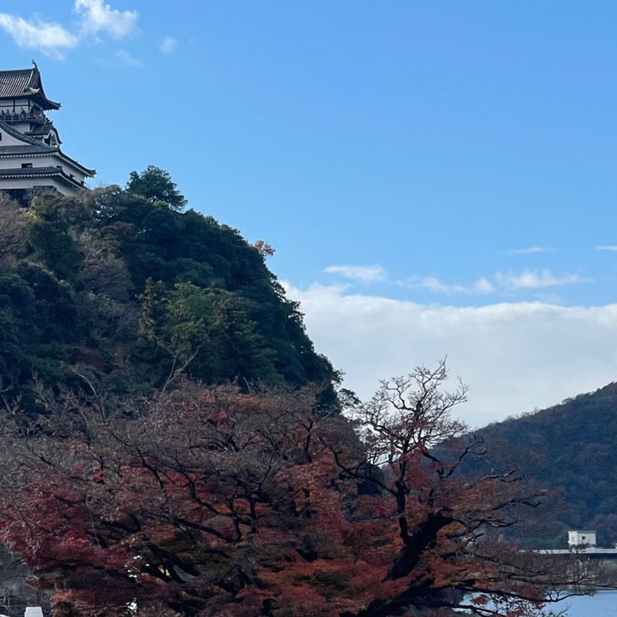 2025年の運気アップへ、城下町・犬山の幸運旅。