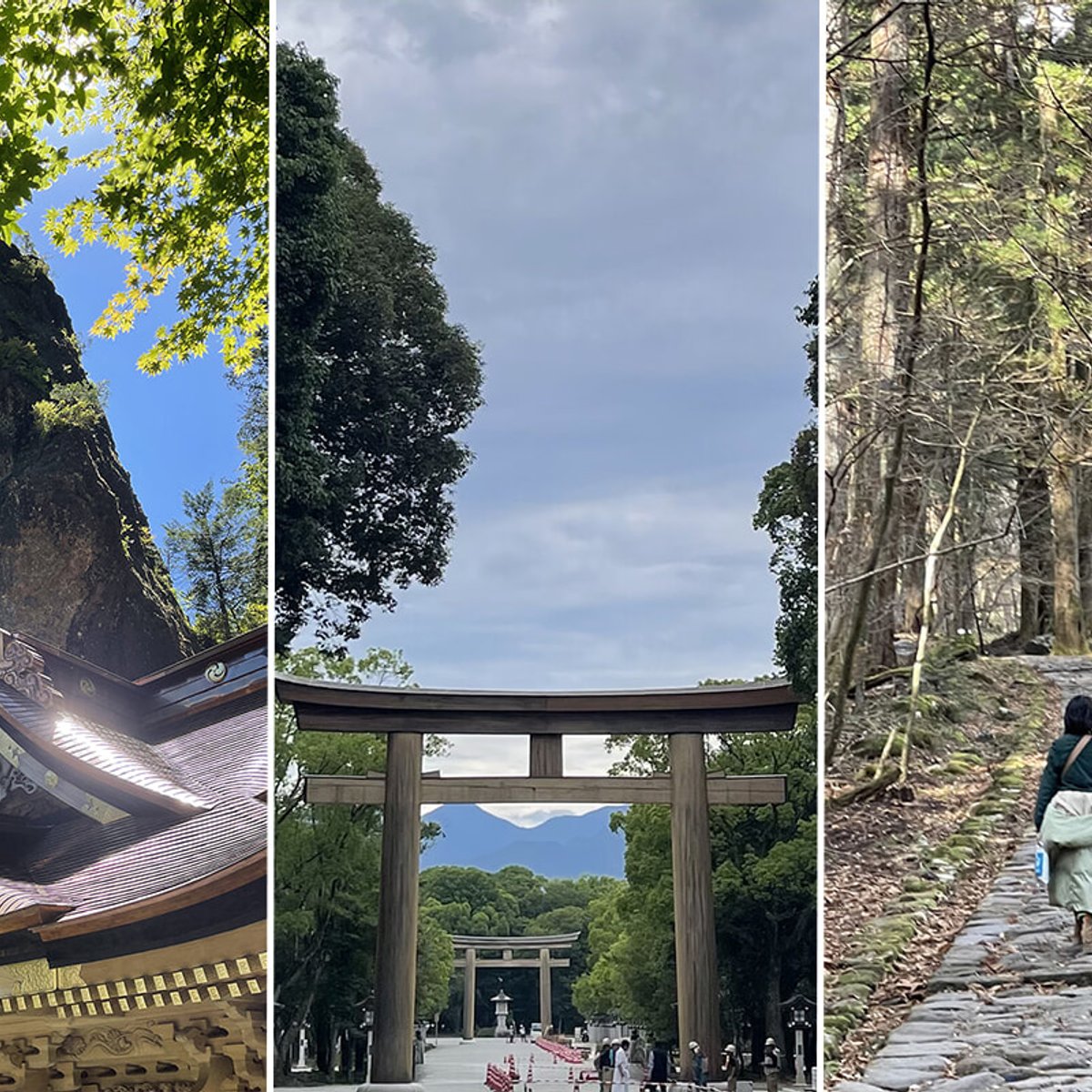 2025年に参拝したい、おすすめ神社3選！