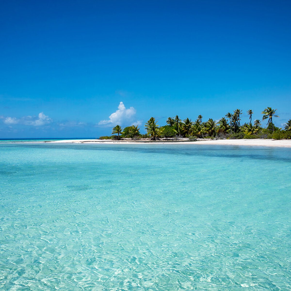 ティケハウ島、ピンクサンドの海の優しい色合いに癒やされて。【タヒチの島々】