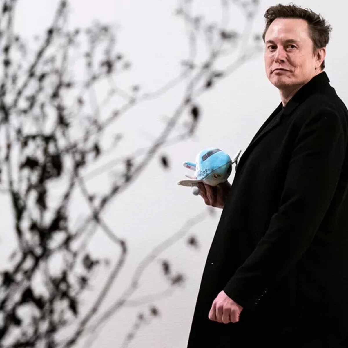 アシュリー・セント・クレア、イーロン・マスクに対する攻撃を続ける。