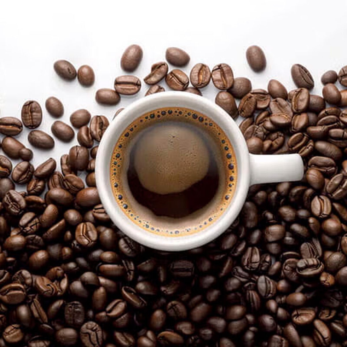 1日3杯以上コーヒーを飲む人の腸内で何が起こる？  海外の研究チームがリポート。