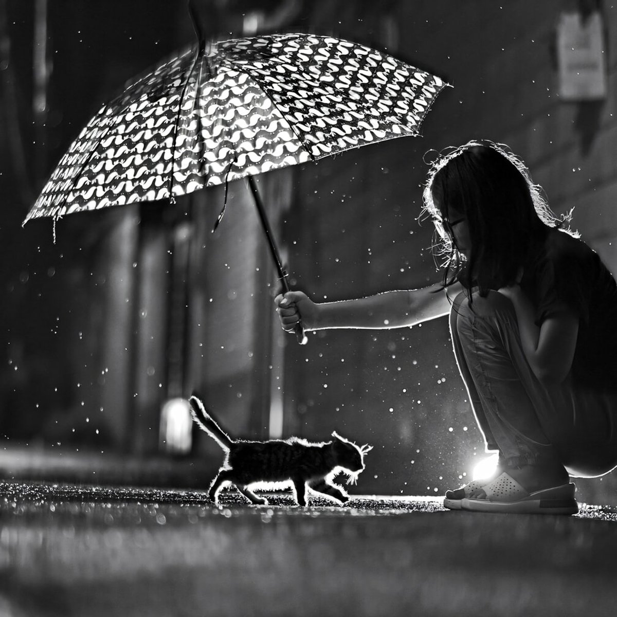 雨の中倒れていた「子ネコ」を拾って育てたら……！　成長してわかった「意外な正体」とは？