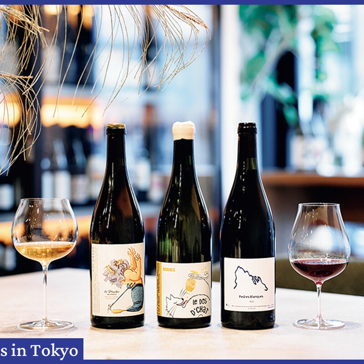 アペロやバーだけでもOK！ 野菜料理が主役のイタリアン「アローロ」。【池尻大橋／フィガロ東京レストラン】