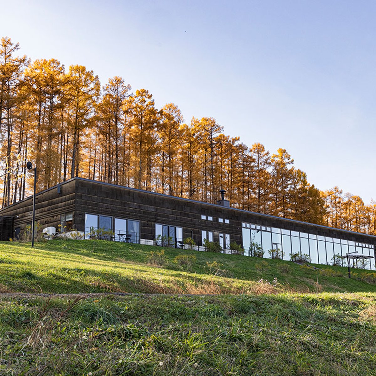 耕作放棄地を整備、ワインツーリズムを堪能する北海道「ニキヒルズワイナリー」へ！