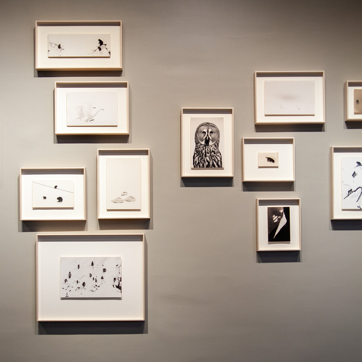 感性を刺激してくれる、モンパルナスの写真専門ギャラリー。